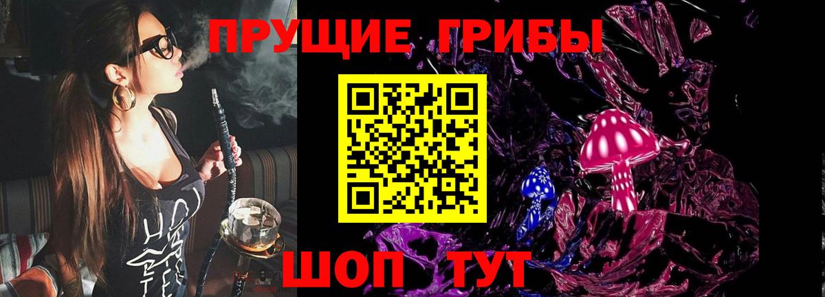 Абакан  Псилоцибиновые грибы MAGIC MUSHROOMS  даркнет сайт  Вход с VPN 